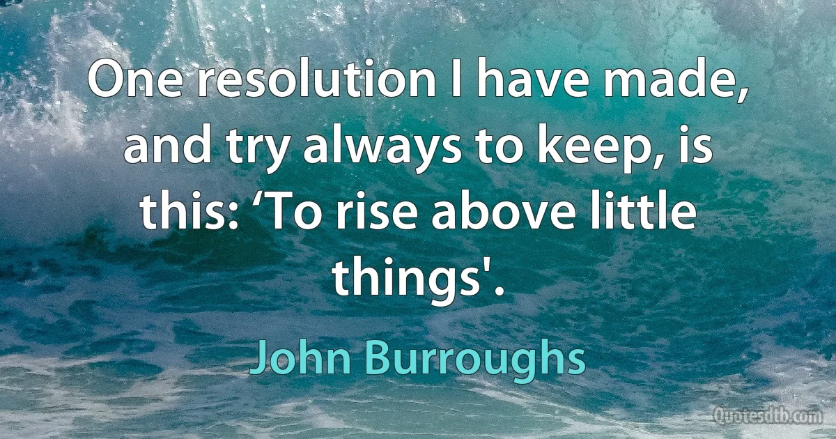 One resolution I have made, and try always to keep, is this: ‘To rise above little things'. (John Burroughs)