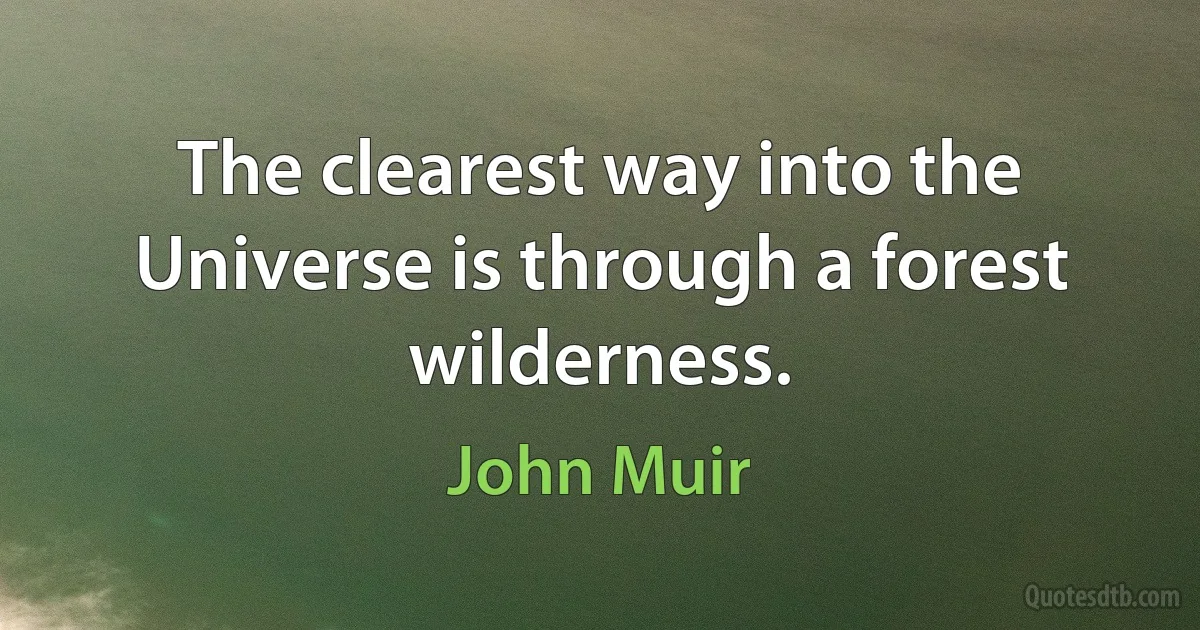 The clearest way into the Universe is through a forest wilderness. (John Muir)