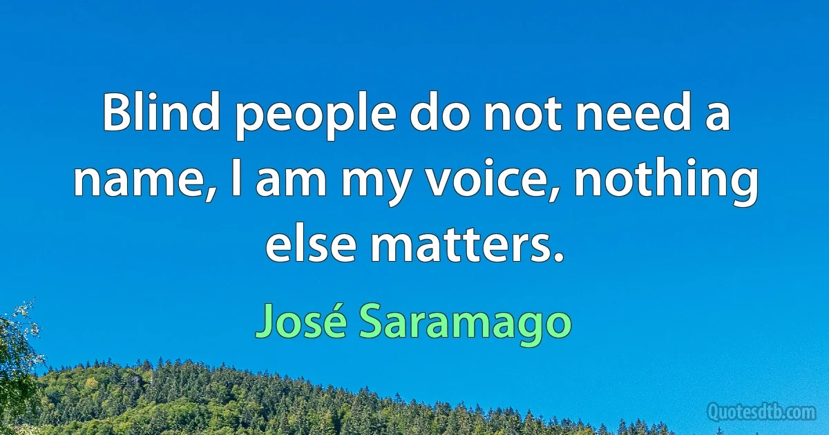 Blind people do not need a name, I am my voice, nothing else matters. (José Saramago)