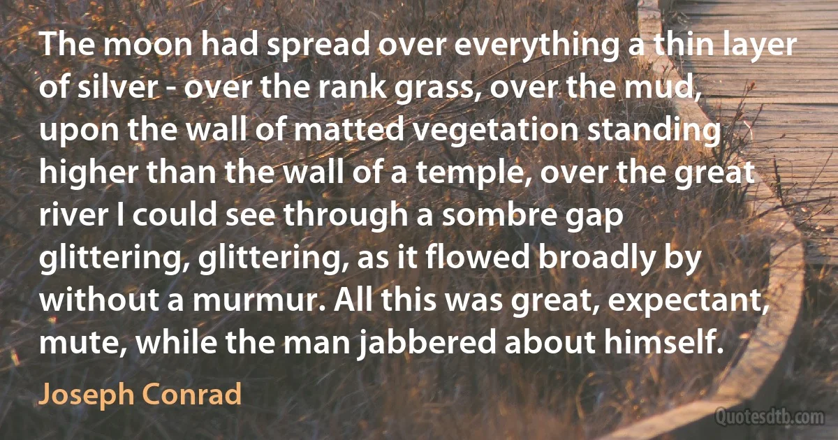 The moon had spread over everything a thin layer of silver - over the rank grass, over the mud, upon the wall of matted vegetation standing higher than the wall of a temple, over the great river I could see through a sombre gap glittering, glittering, as it flowed broadly by without a murmur. All this was great, expectant, mute, while the man jabbered about himself. (Joseph Conrad)
