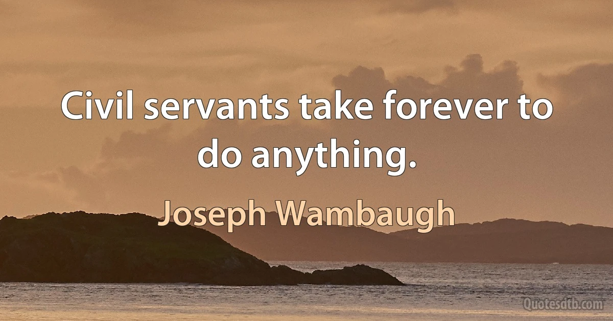 Civil servants take forever to do anything. (Joseph Wambaugh)