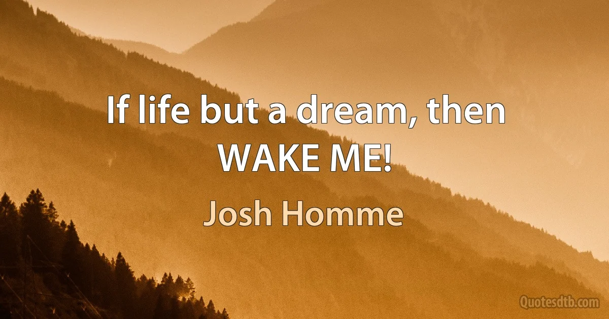 If life but a dream, then
WAKE ME! (Josh Homme)