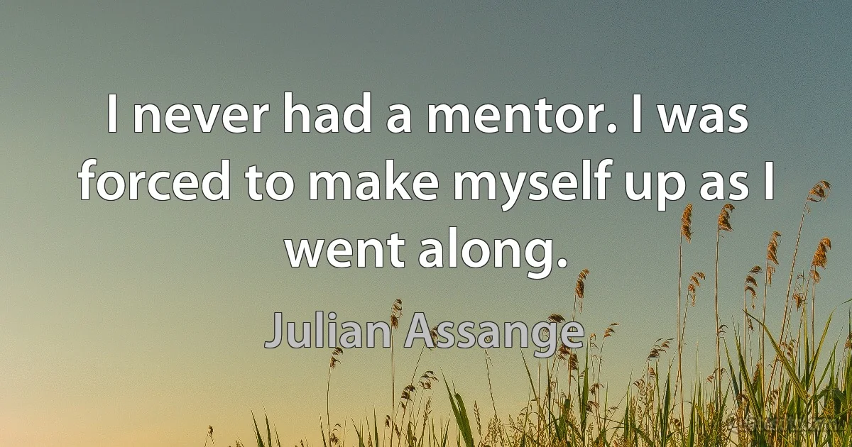 I never had a mentor. I was forced to make myself up as I went along. (Julian Assange)