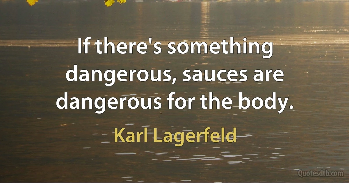 If there's something dangerous, sauces are dangerous for the body. (Karl Lagerfeld)