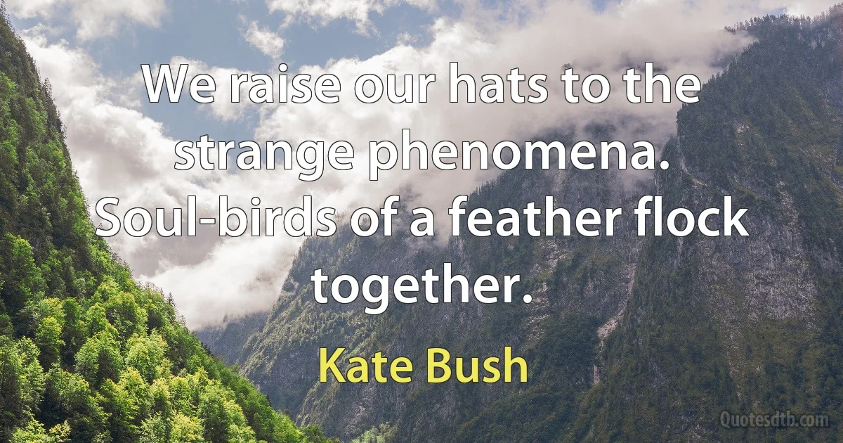 We raise our hats to the strange phenomena.
Soul-birds of a feather flock together. (Kate Bush)