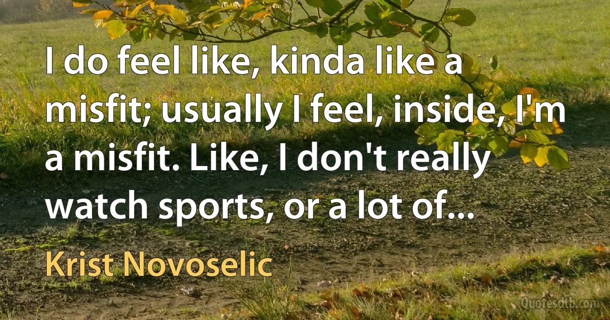 I do feel like, kinda like a misfit; usually I feel, inside, I'm a misfit. Like, I don't really watch sports, or a lot of... (Krist Novoselic)