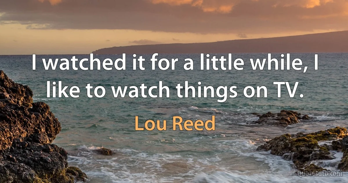 I watched it for a little while, I like to watch things on TV. (Lou Reed)