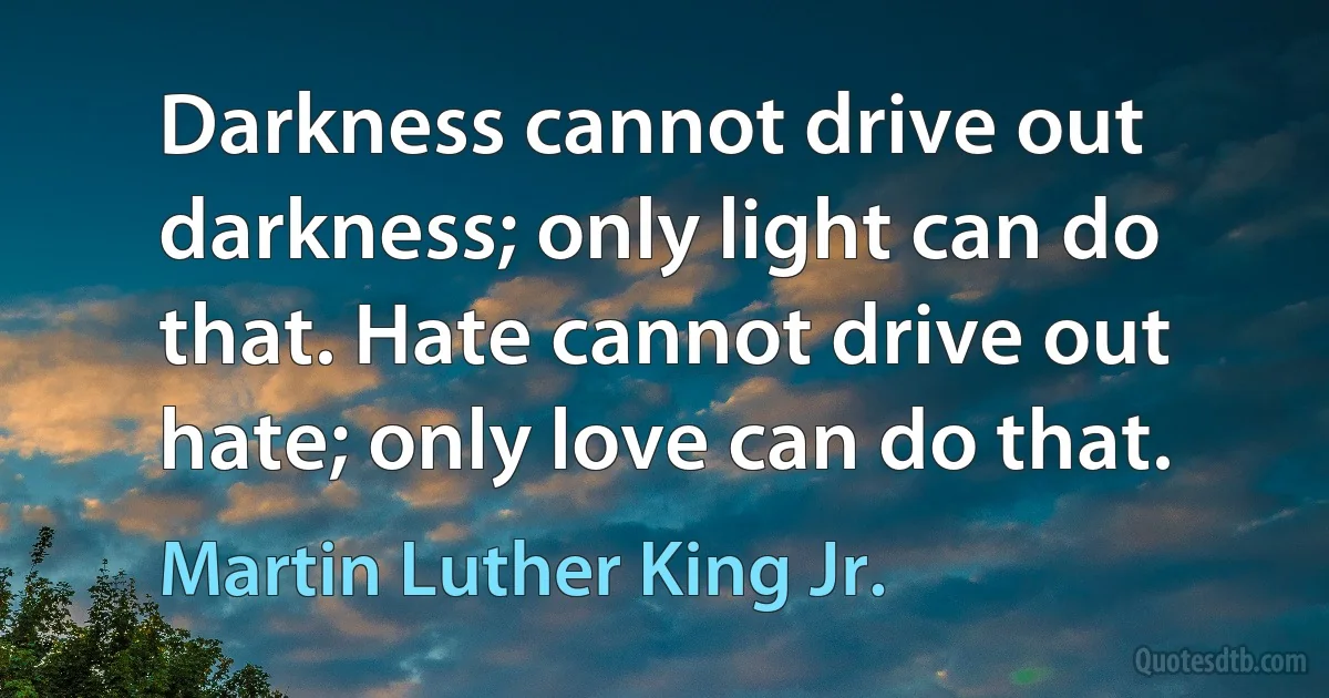 Darkness cannot drive out darkness; only light can do that. Hate cannot drive out hate; only love can do that. (Martin Luther King Jr.)