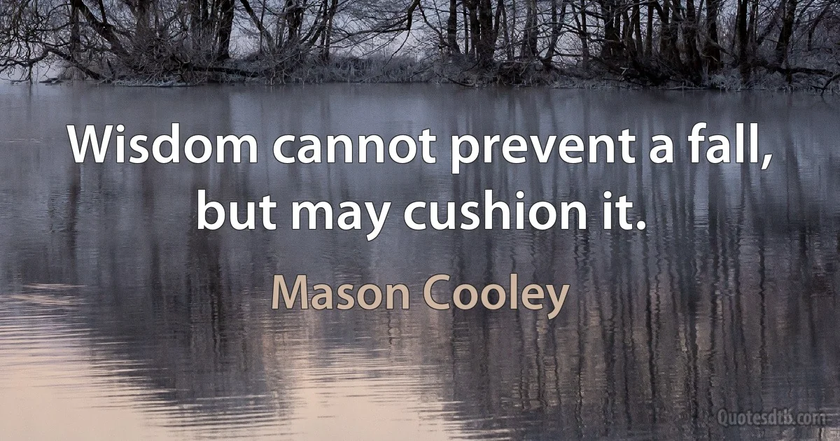 Wisdom cannot prevent a fall, but may cushion it. (Mason Cooley)