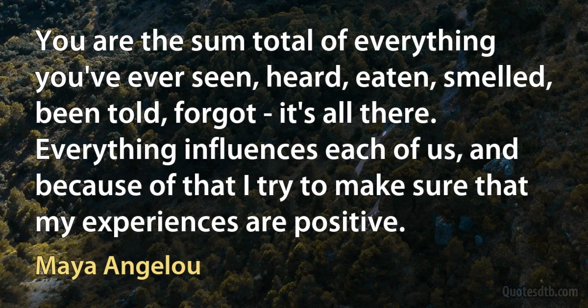 You are the sum total of everything you've ever seen, heard, eaten, smelled, been told, forgot - it's all there. Everything influences each of us, and because of that I try to make sure that my experiences are positive. (Maya Angelou)