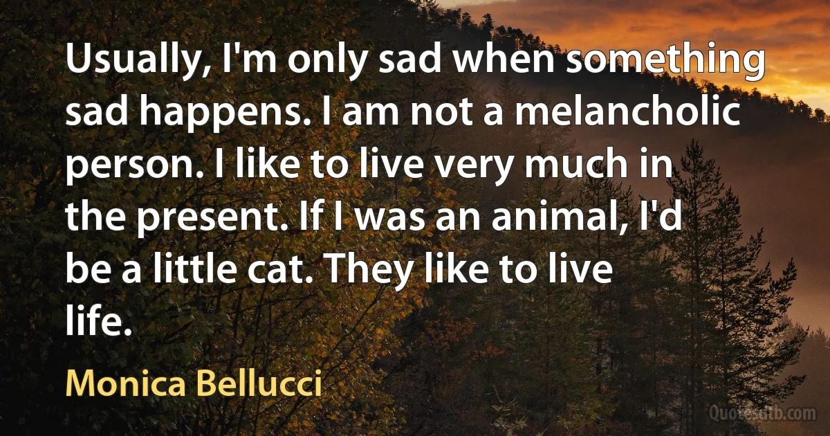 Usually, I'm only sad when something sad happens. I am not a melancholic person. I like to live very much in the present. If I was an animal, I'd be a little cat. They like to live life. (Monica Bellucci)