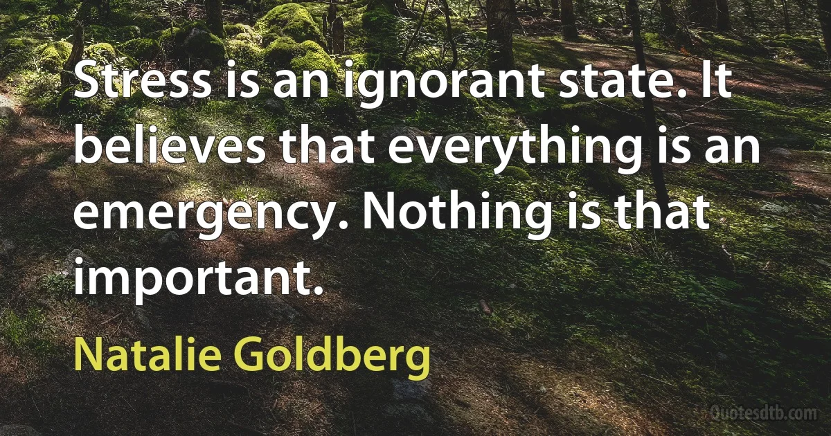 Stress is an ignorant state. It believes that everything is an emergency. Nothing is that important. (Natalie Goldberg)