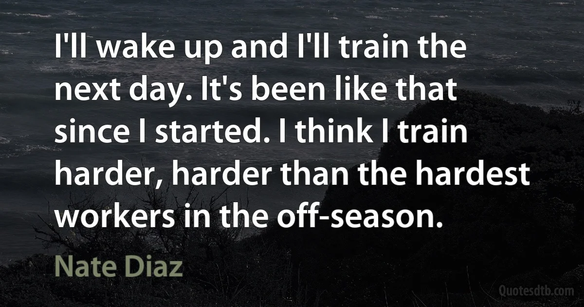 I'll wake up and I'll train the next day. It's been like that since I started. I think I train harder, harder than the hardest workers in the off-season. (Nate Diaz)