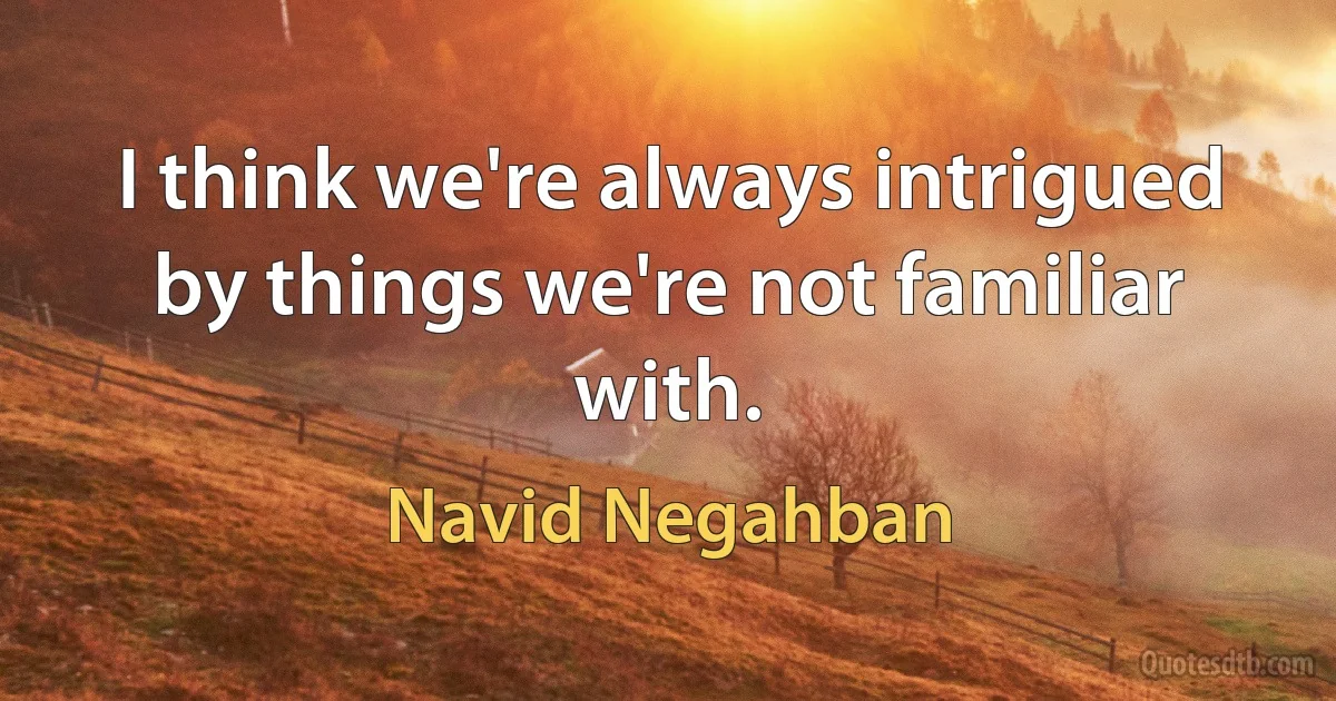 I think we're always intrigued by things we're not familiar with. (Navid Negahban)