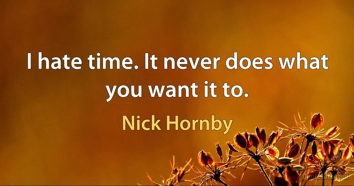 I hate time. It never does what you want it to. (Nick Hornby)