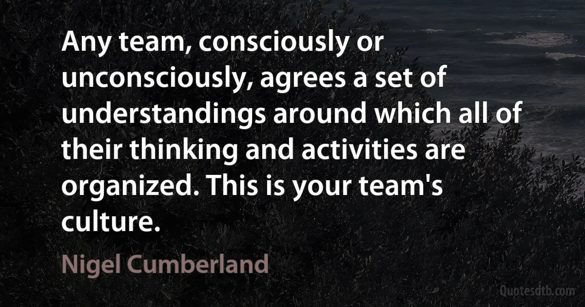 Any team, consciously or unconsciously, agrees a set of understandings around which all of their thinking and activities are organized. This is your team's culture. (Nigel Cumberland)