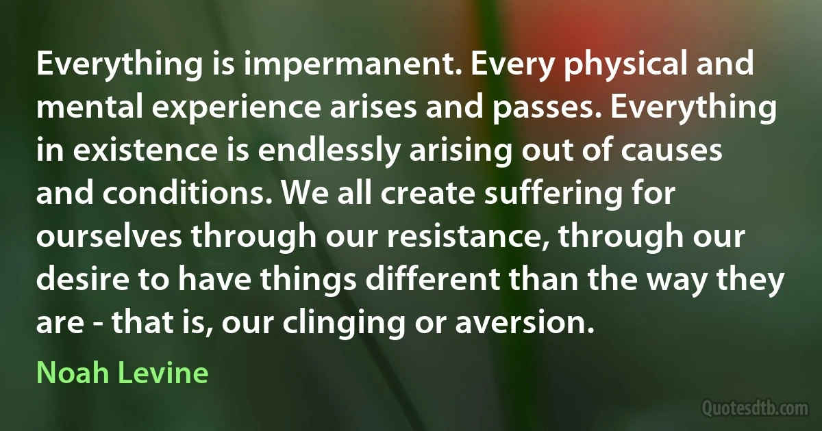 Everything is impermanent. Every physical and mental experience arises and passes. Everything in existence is endlessly arising out of causes and conditions. We all create suffering for ourselves through our resistance, through our desire to have things different than the way they are - that is, our clinging or aversion. (Noah Levine)