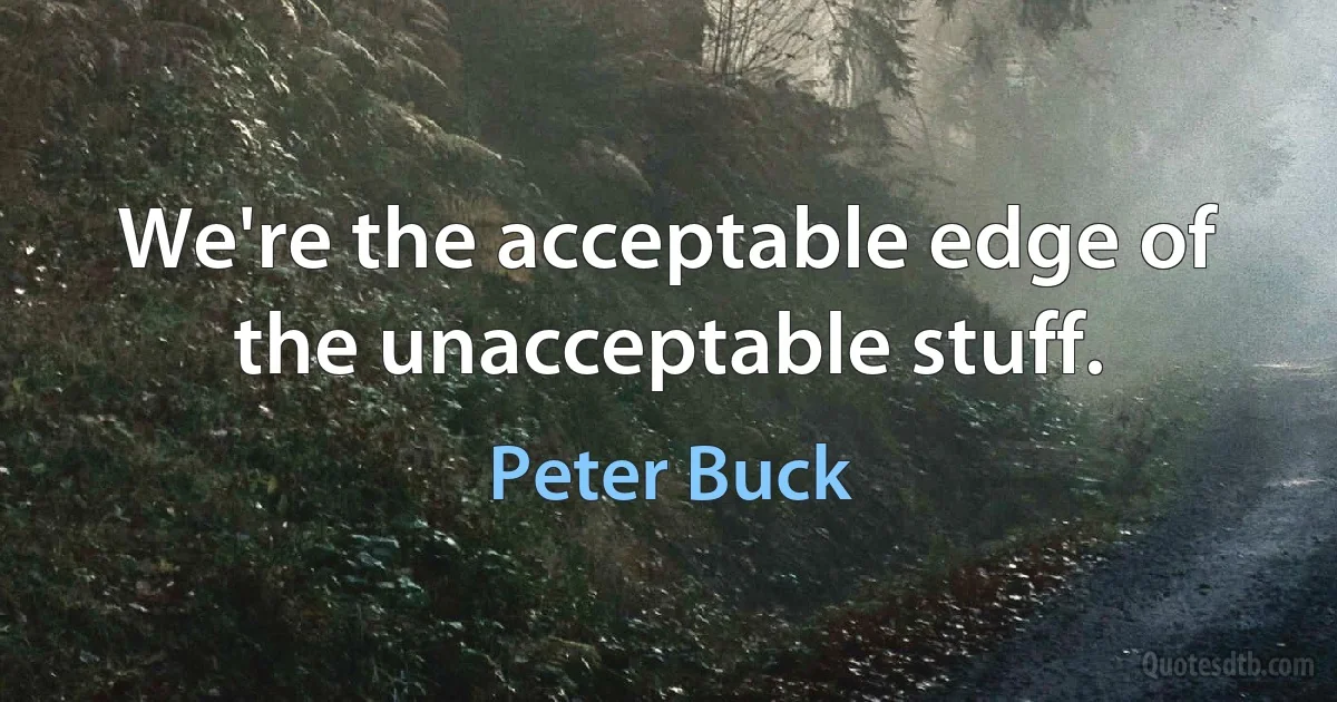 We're the acceptable edge of the unacceptable stuff. (Peter Buck)