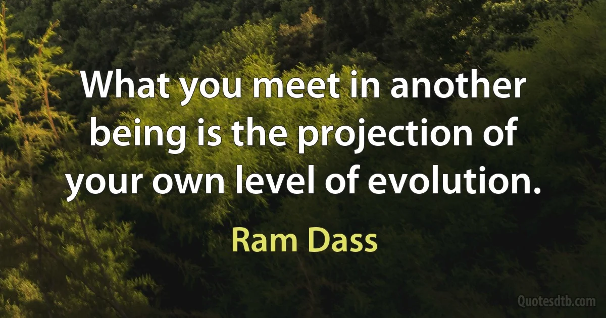 What you meet in another being is the projection of your own level of evolution. (Ram Dass)