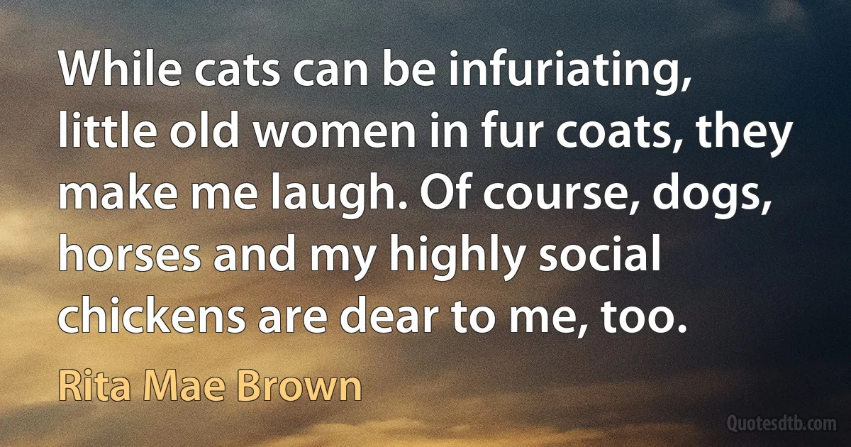 While cats can be infuriating, little old women in fur coats, they make me laugh. Of course, dogs, horses and my highly social chickens are dear to me, too. (Rita Mae Brown)