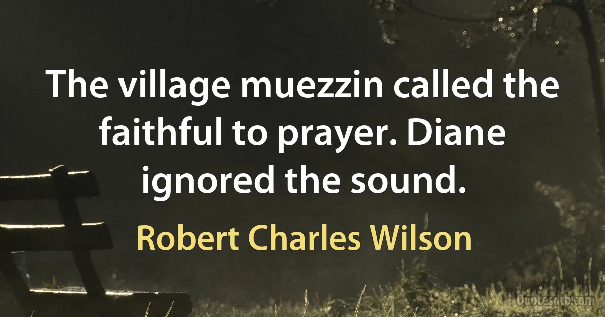 The village muezzin called the faithful to prayer. Diane ignored the sound. (Robert Charles Wilson)