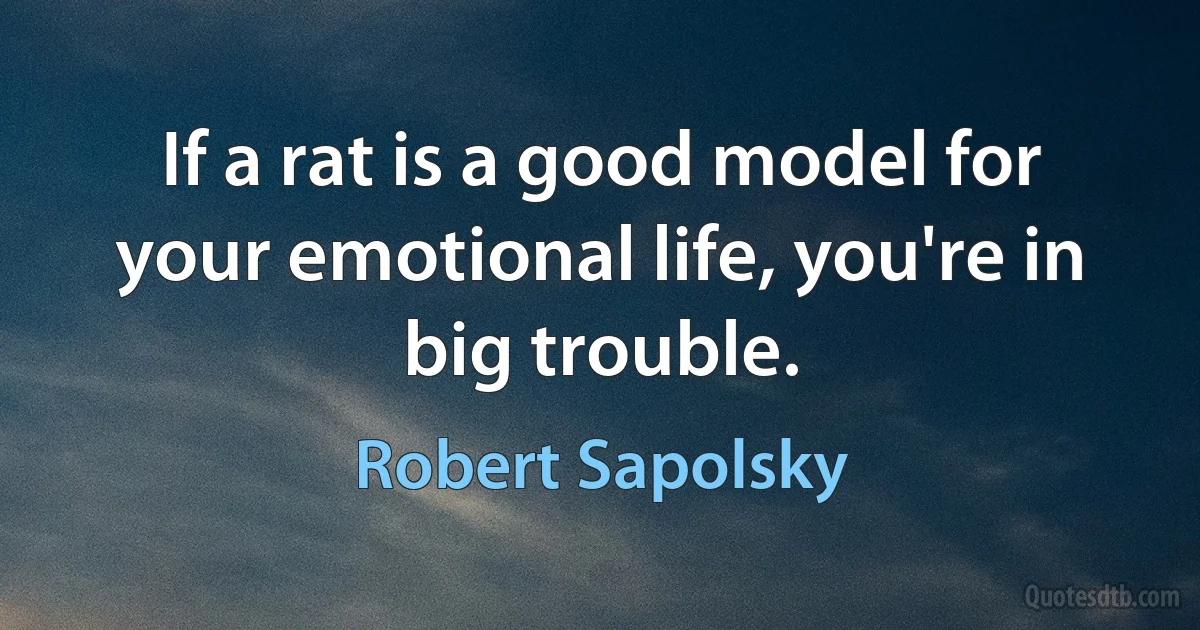 If a rat is a good model for your emotional life, you're in big trouble. (Robert Sapolsky)