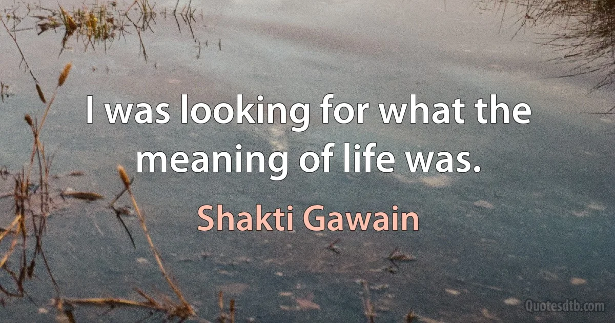 I was looking for what the meaning of life was. (Shakti Gawain)