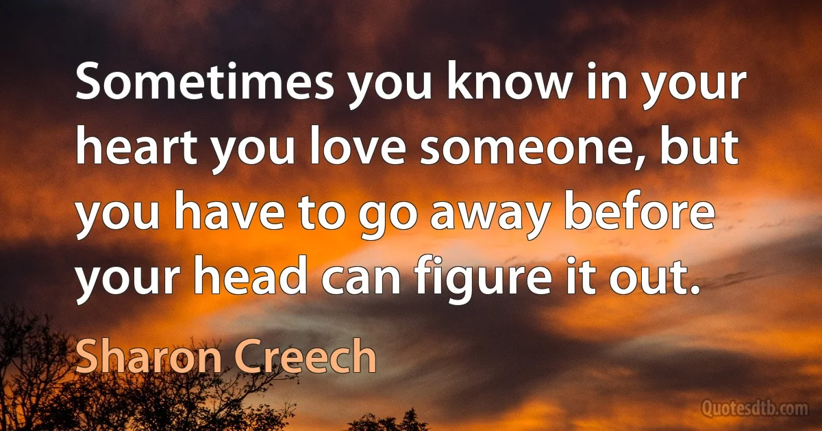 Sometimes you know in your heart you love someone, but you have to go away before your head can figure it out. (Sharon Creech)