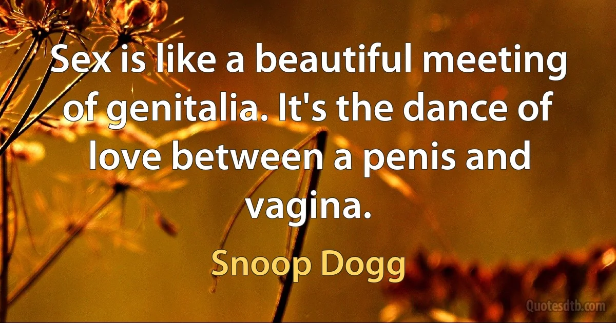 Sex is like a beautiful meeting of genitalia. It's the dance of love between a penis and vagina. (Snoop Dogg)