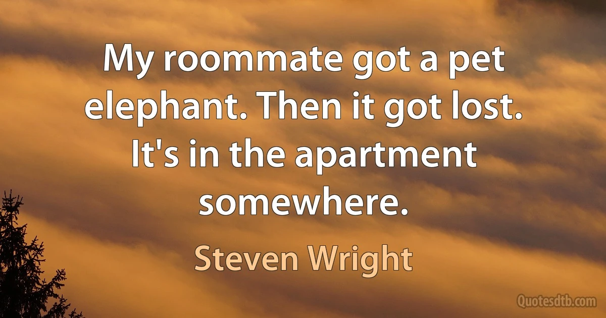 My roommate got a pet elephant. Then it got lost. It's in the apartment somewhere. (Steven Wright)