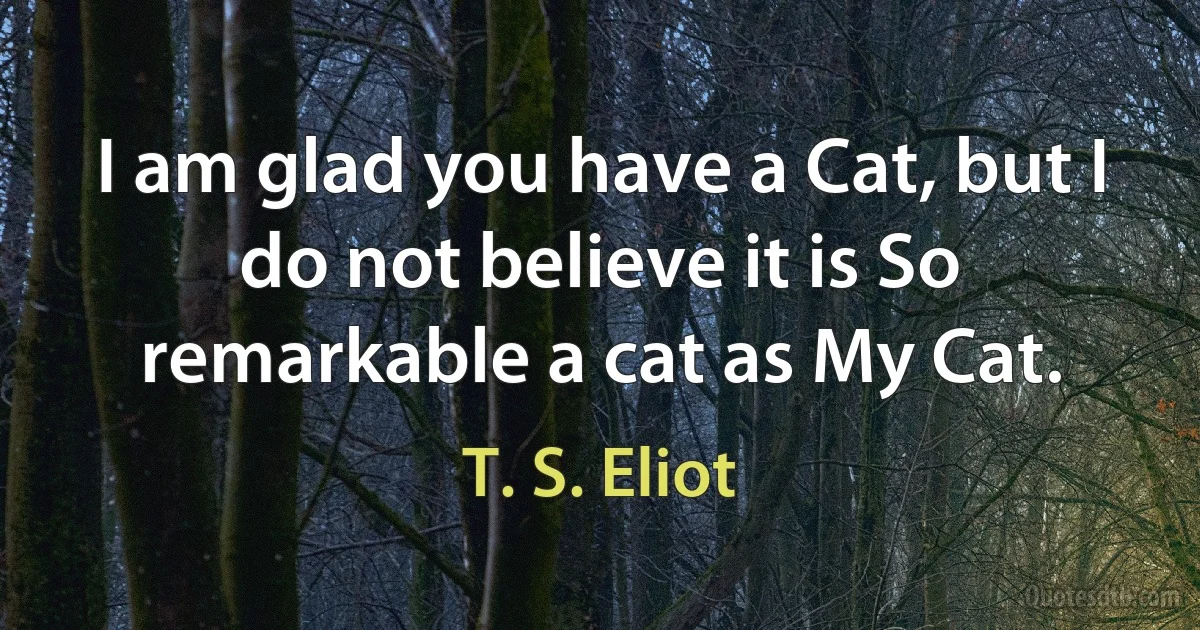 I am glad you have a Cat, but I do not believe it is So remarkable a cat as My Cat. (T. S. Eliot)