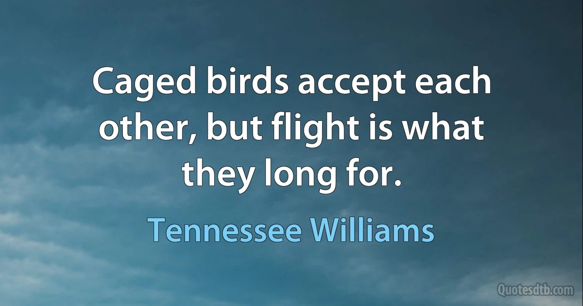 Caged birds accept each other, but flight is what they long for. (Tennessee Williams)