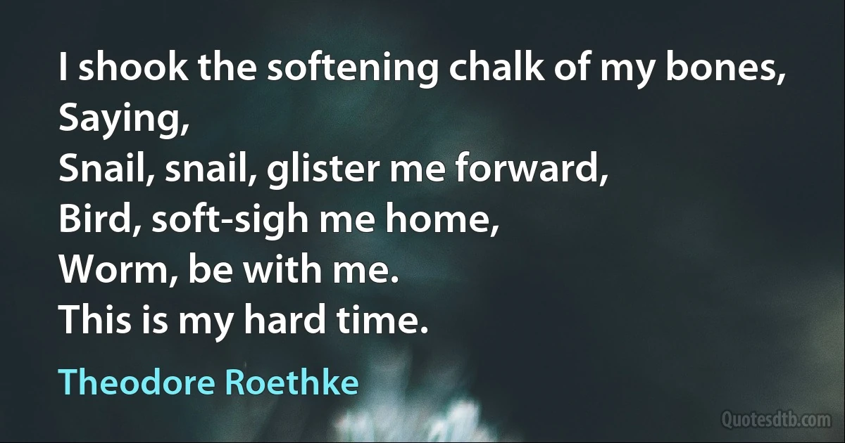 I shook the softening chalk of my bones,
Saying,
Snail, snail, glister me forward,
Bird, soft-sigh me home,
Worm, be with me.
This is my hard time. (Theodore Roethke)