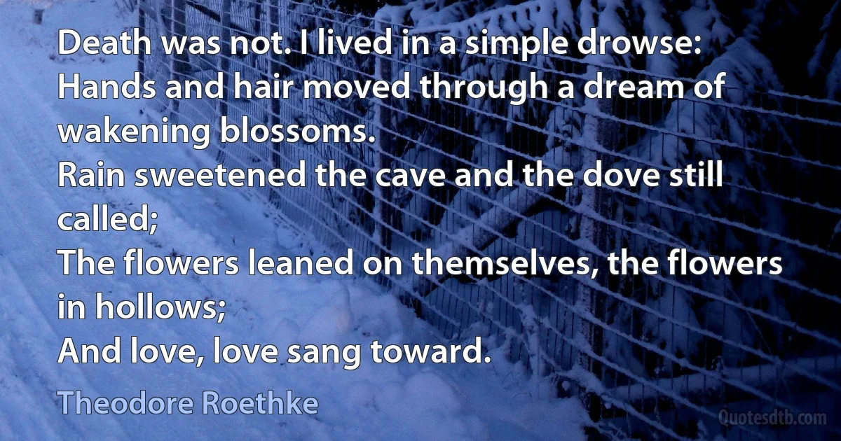 Death was not. I lived in a simple drowse:
Hands and hair moved through a dream of wakening blossoms.
Rain sweetened the cave and the dove still called;
The flowers leaned on themselves, the flowers in hollows;
And love, love sang toward. (Theodore Roethke)