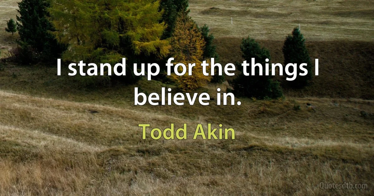 I stand up for the things I believe in. (Todd Akin)