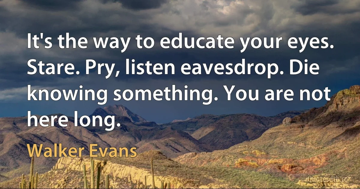 It's the way to educate your eyes. Stare. Pry, listen eavesdrop. Die knowing something. You are not here long. (Walker Evans)