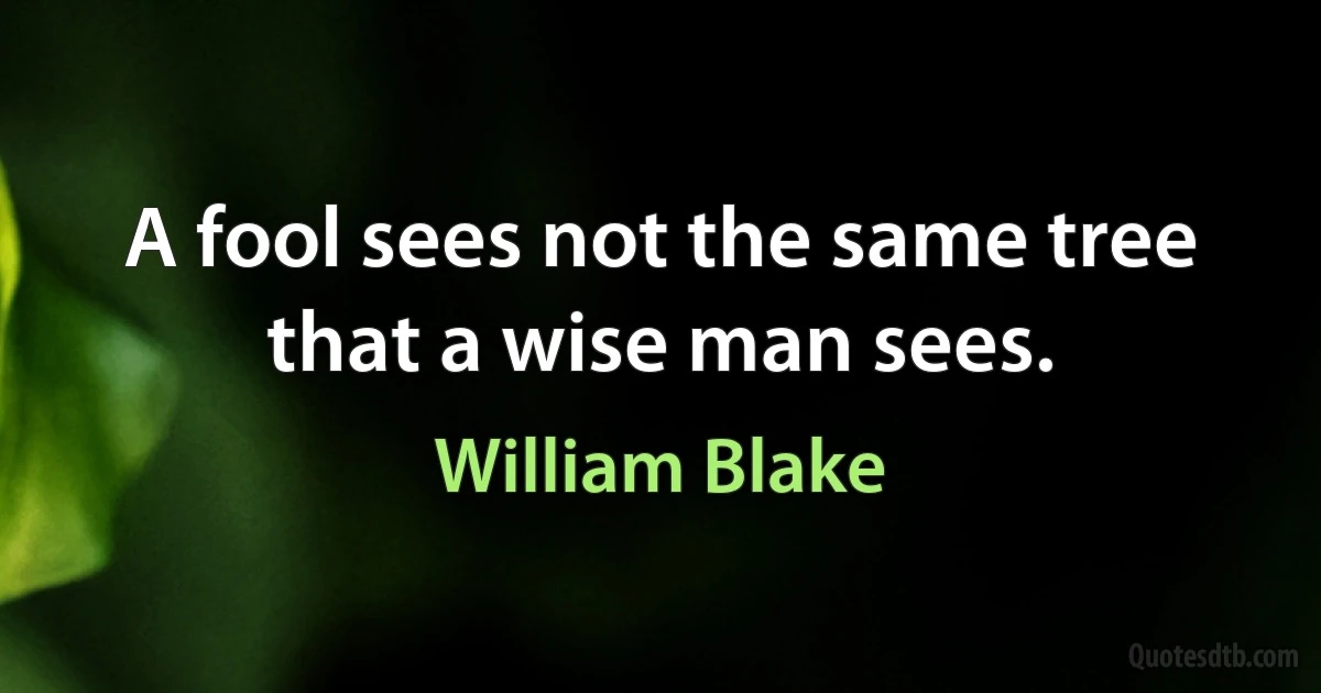 A fool sees not the same tree that a wise man sees. (William Blake)