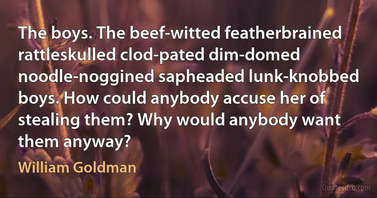 The boys. The beef-witted featherbrained rattleskulled clod-pated dim-domed noodle-noggined sapheaded lunk-knobbed boys. How could anybody accuse her of stealing them? Why would anybody want them anyway? (William Goldman)