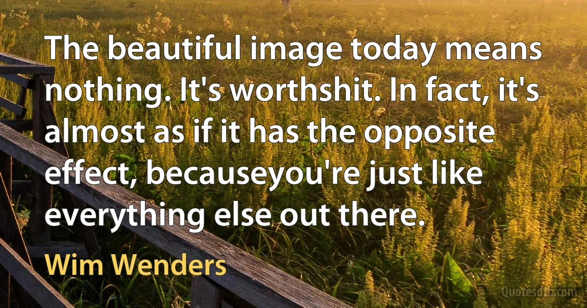 The beautiful image today means nothing. It's worthshit. In fact, it's almost as if it has the opposite effect, becauseyou're just like everything else out there. (Wim Wenders)