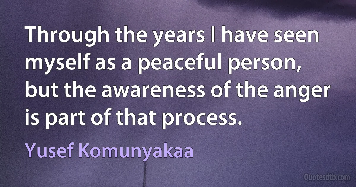 Through the years I have seen myself as a peaceful person, but the awareness of the anger is part of that process. (Yusef Komunyakaa)