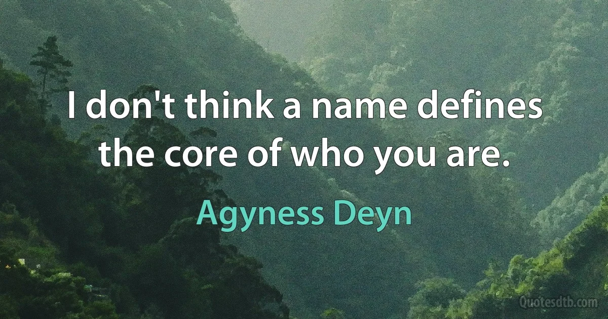 I don't think a name defines the core of who you are. (Agyness Deyn)