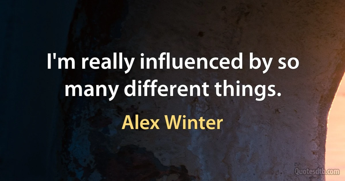 I'm really influenced by so many different things. (Alex Winter)