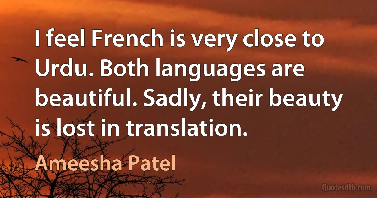 I feel French is very close to Urdu. Both languages are beautiful. Sadly, their beauty is lost in translation. (Ameesha Patel)