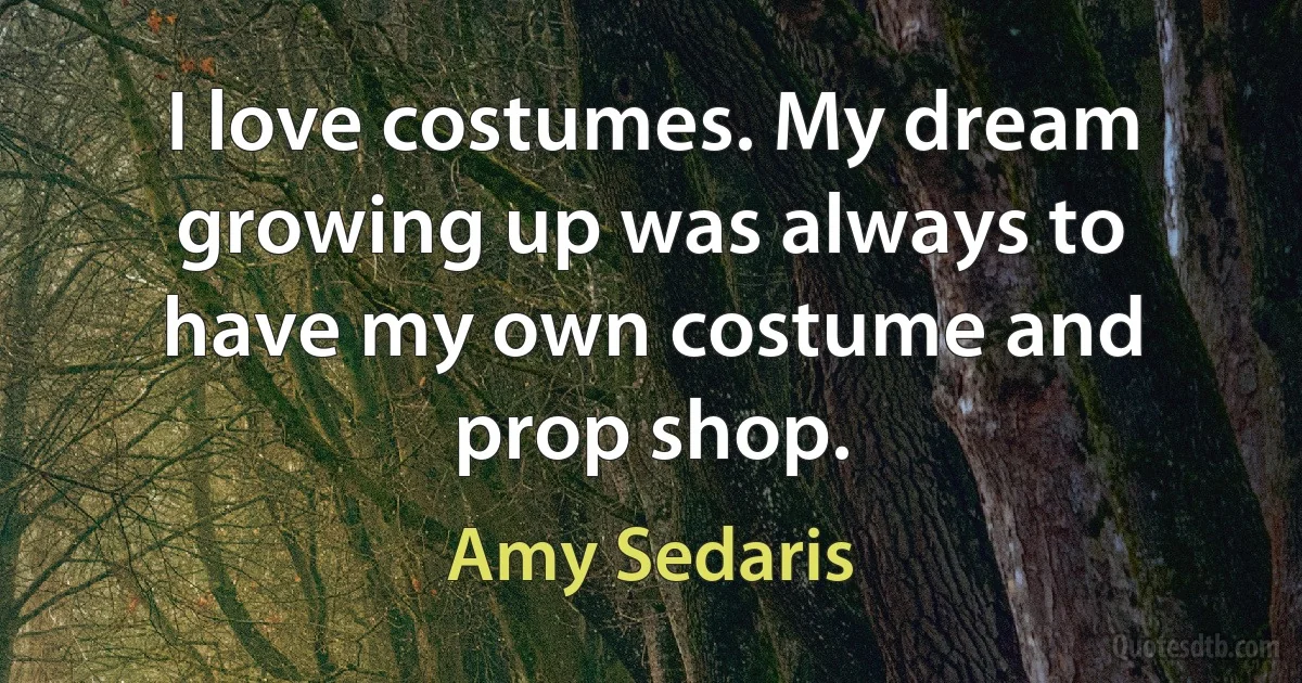 I love costumes. My dream growing up was always to have my own costume and prop shop. (Amy Sedaris)