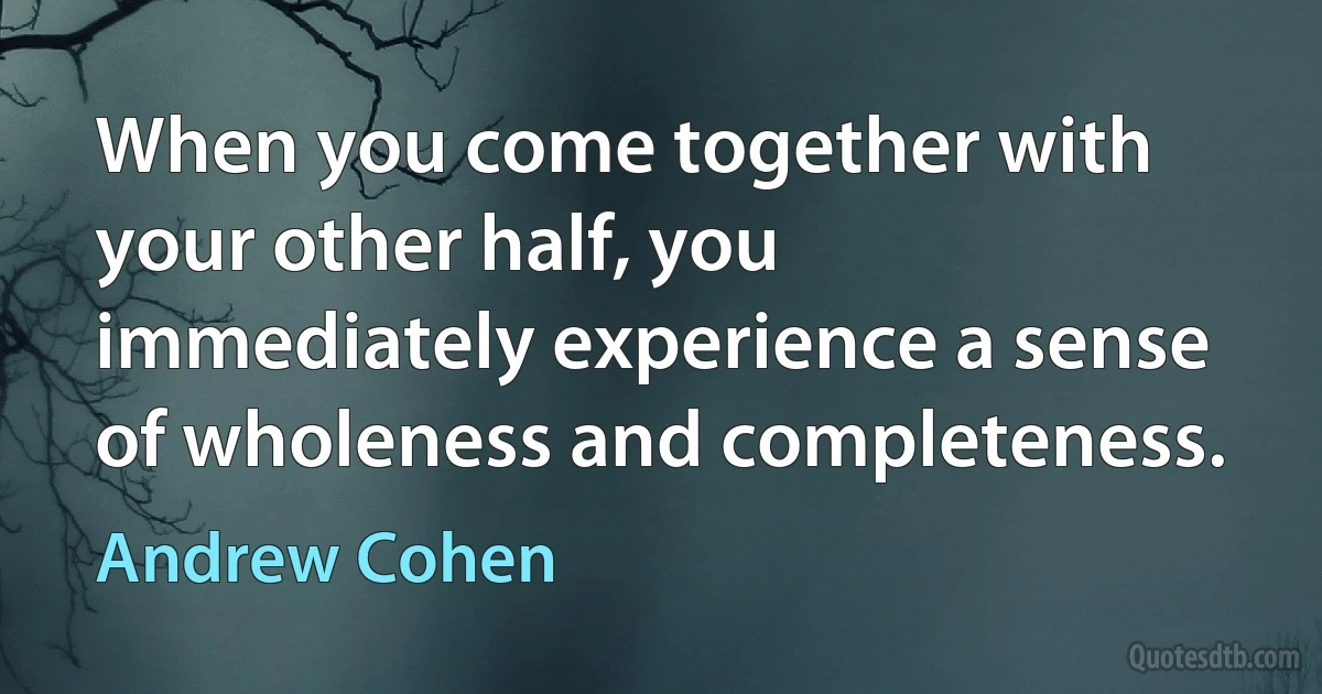 When you come together with your other half, you immediately experience a sense of wholeness and completeness. (Andrew Cohen)