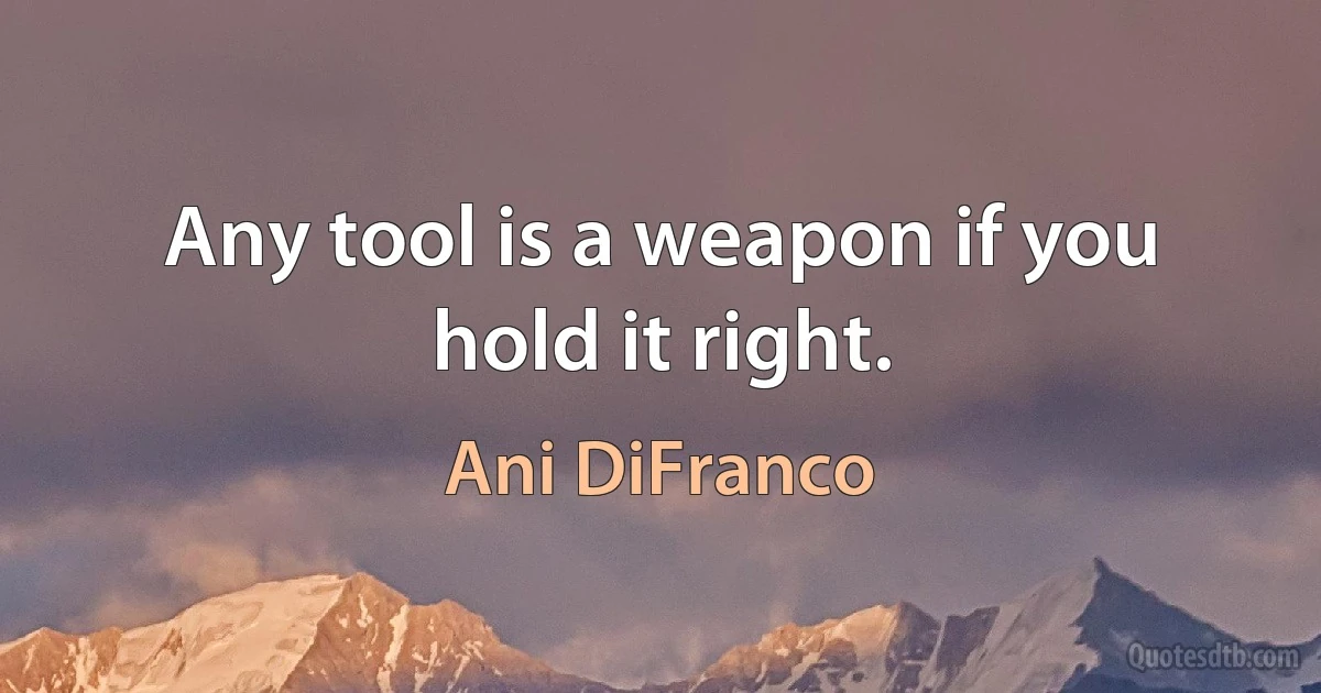 Any tool is a weapon if you hold it right. (Ani DiFranco)