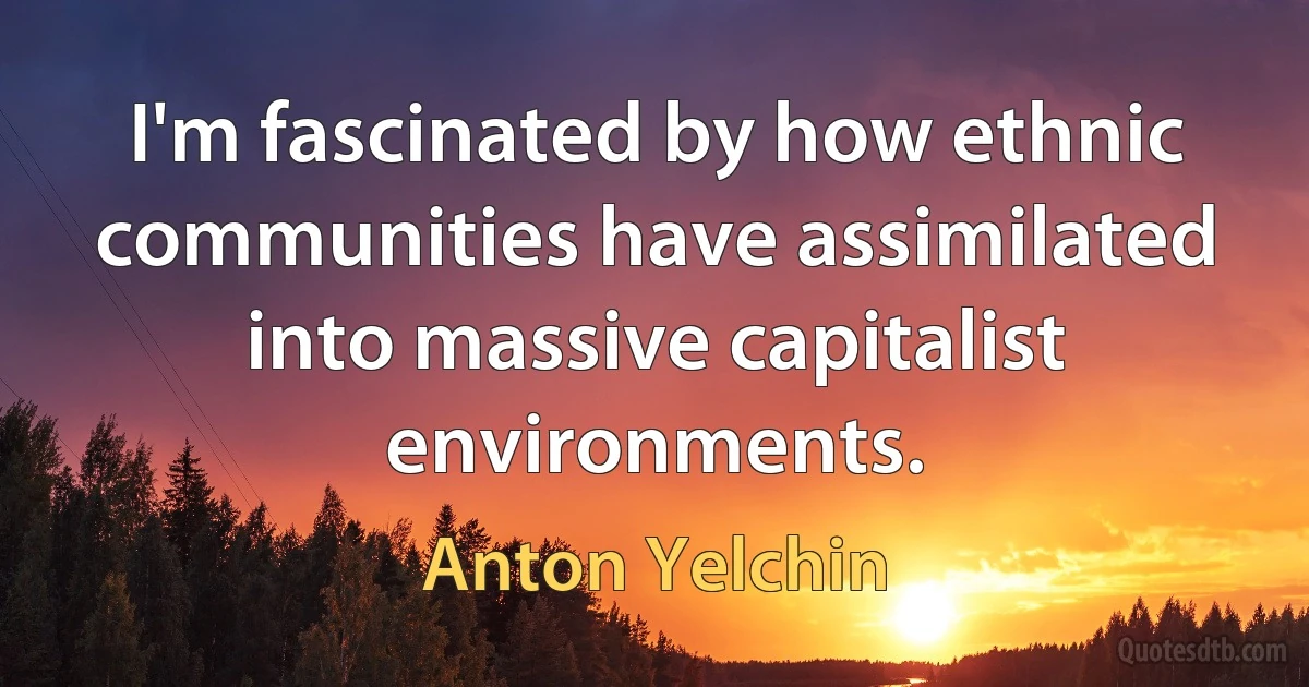 I'm fascinated by how ethnic communities have assimilated into massive capitalist environments. (Anton Yelchin)