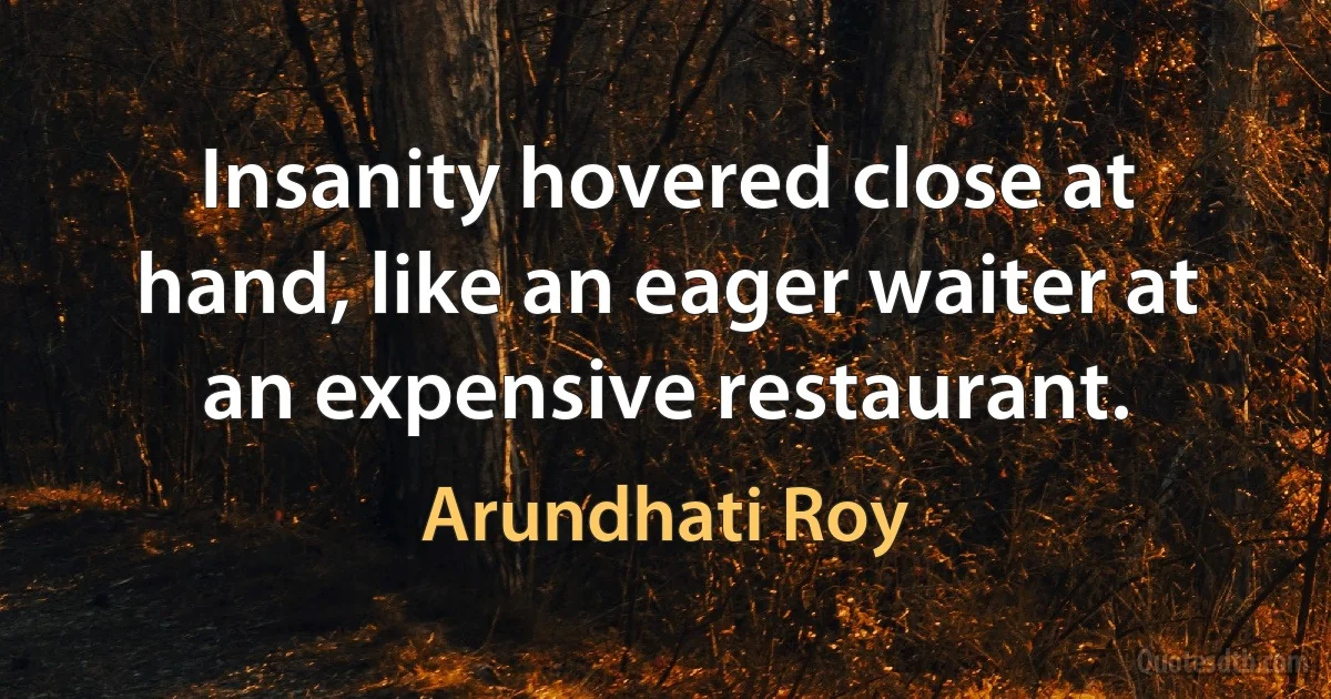 Insanity hovered close at hand, like an eager waiter at an expensive restaurant. (Arundhati Roy)