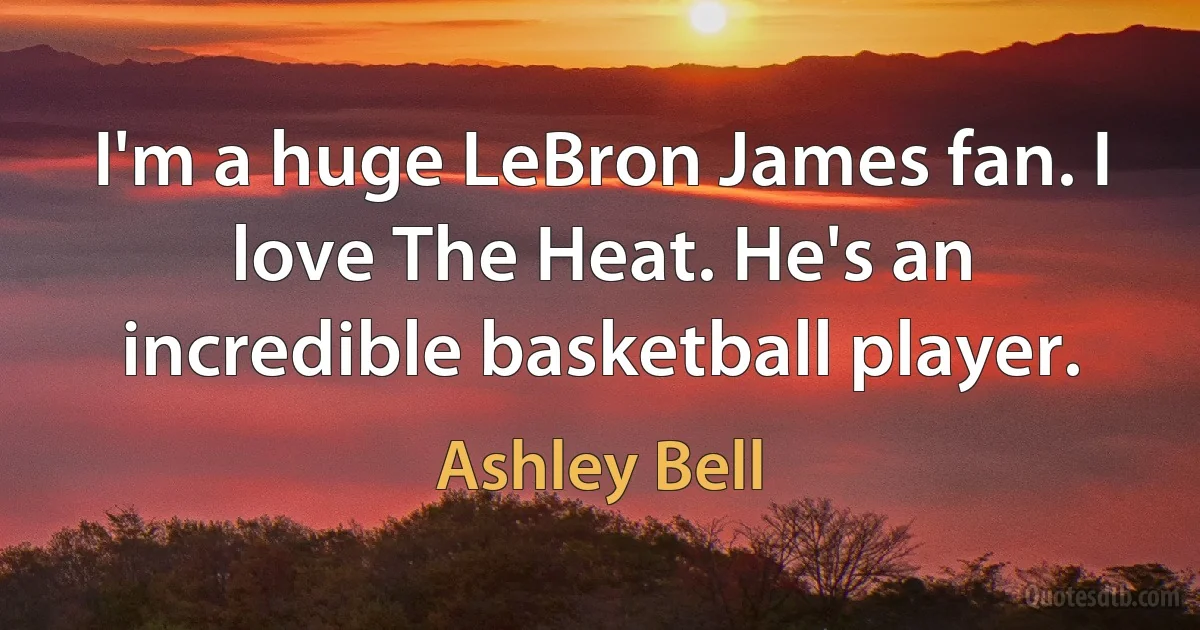 I'm a huge LeBron James fan. I love The Heat. He's an incredible basketball player. (Ashley Bell)