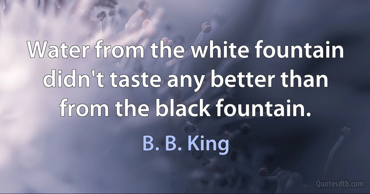 Water from the white fountain didn't taste any better than from the black fountain. (B. B. King)